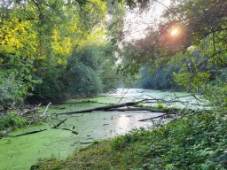 WhatsApp Image 2023-09-10 at 09.47.34